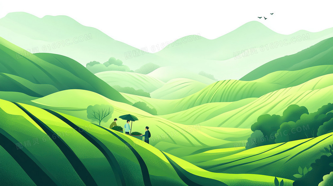 茶农茶园劳作背景