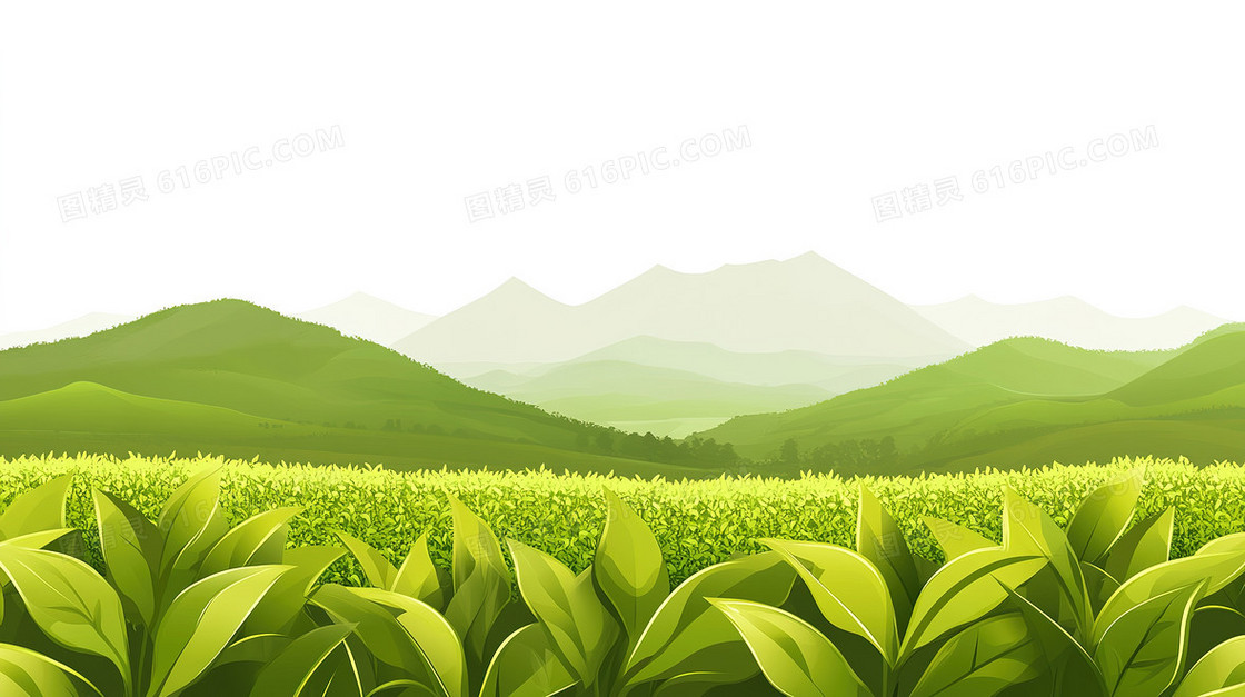 春色满园茶园背景