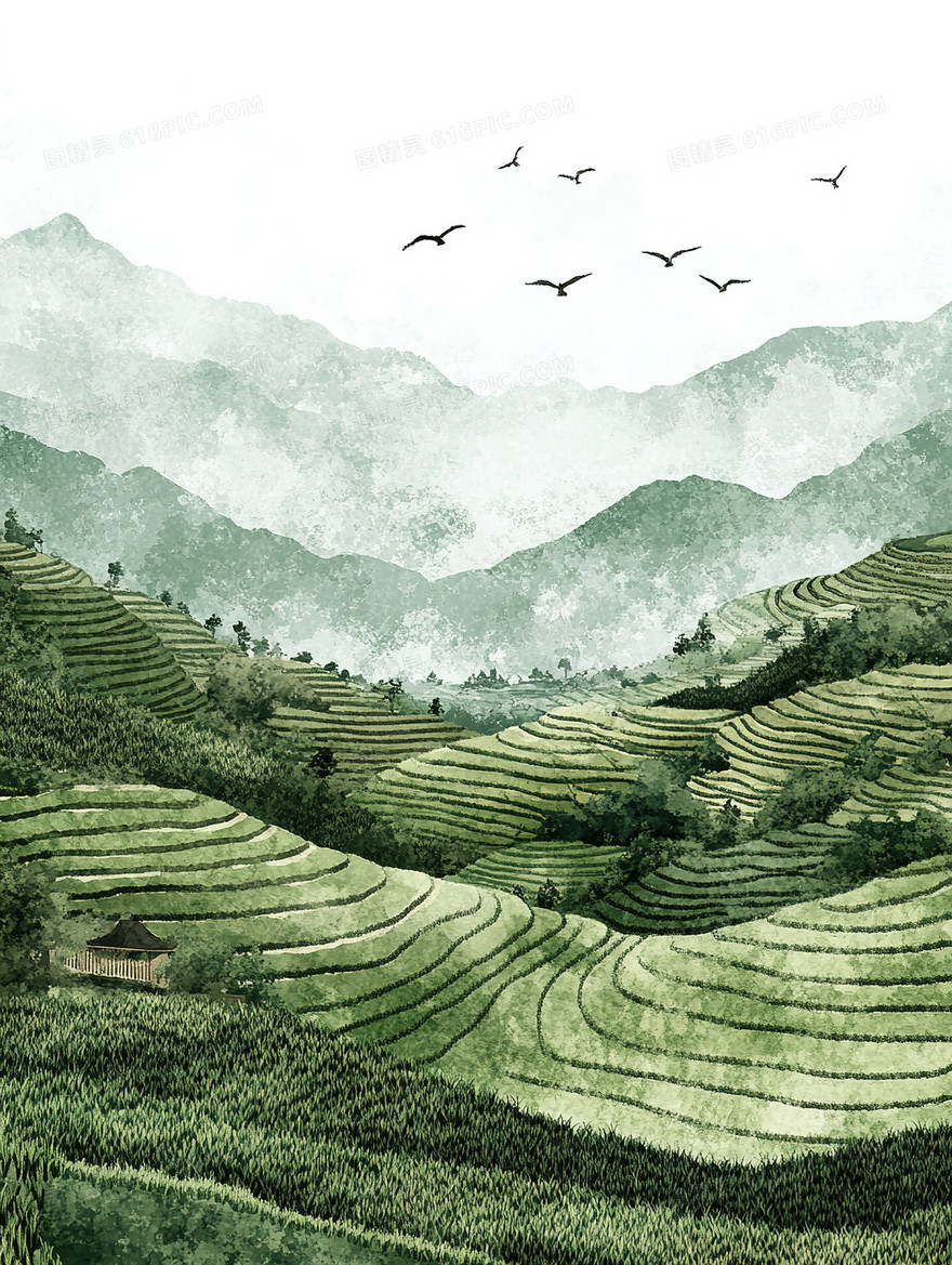 青翠梯田茶园背景