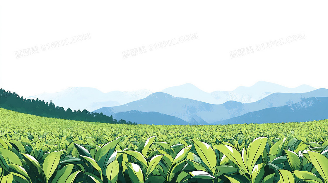 春色满园茶园背景