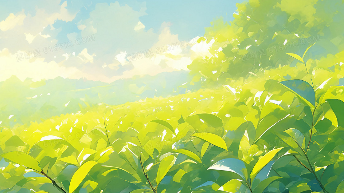 绿色春季起伏茶园背景