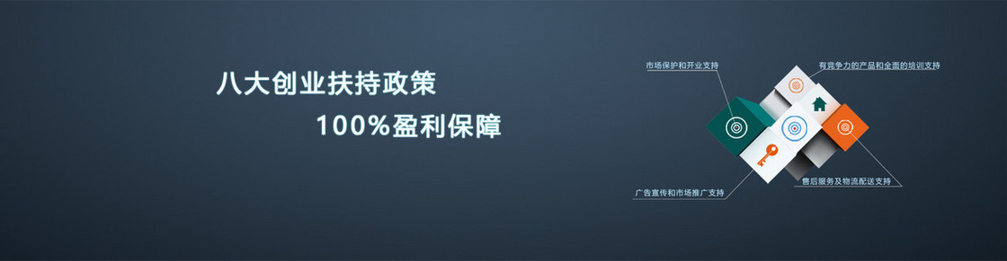 创业分析