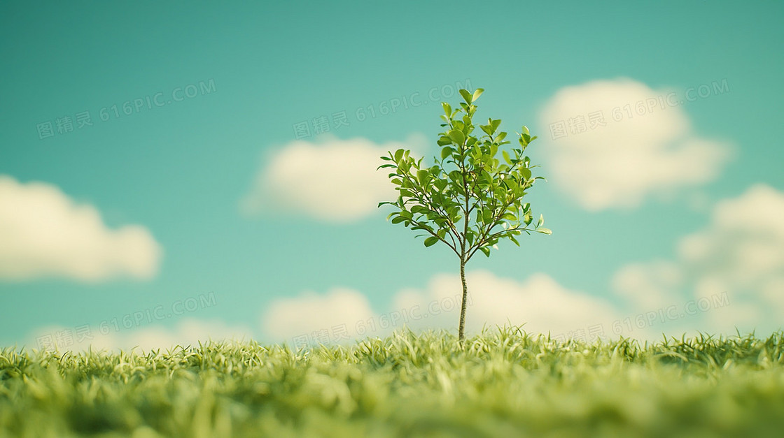 春季生机勃勃的植物简约背景