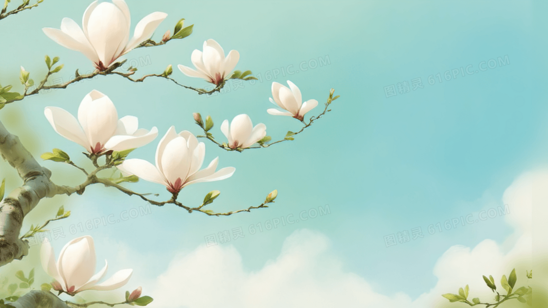 兰花插画绿色背景