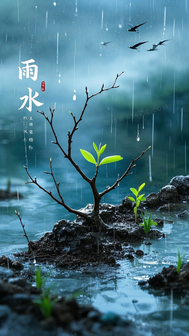 自然景象2025雨水节气背景图左上方写有宋体