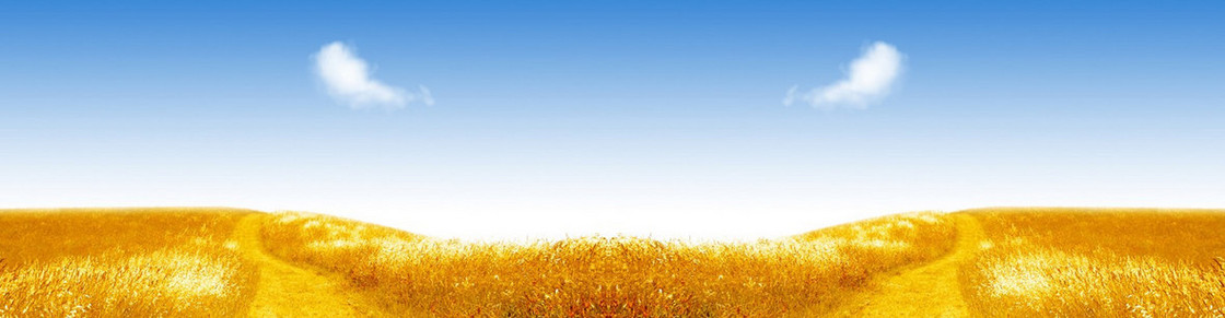 风景背景banner
