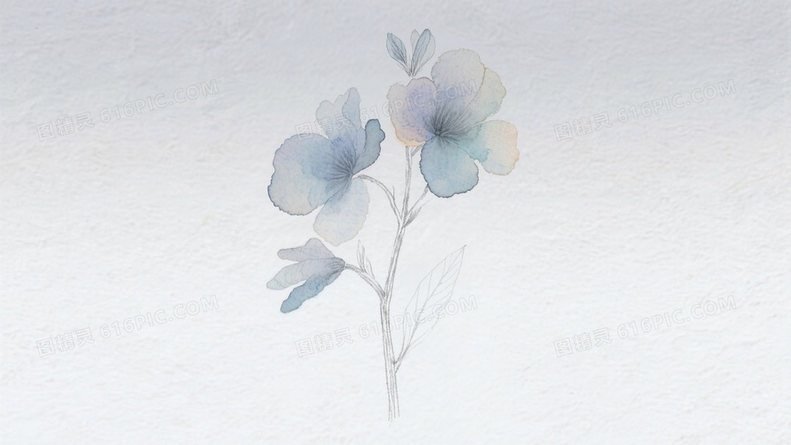 水彩晕染花卉插画背景
