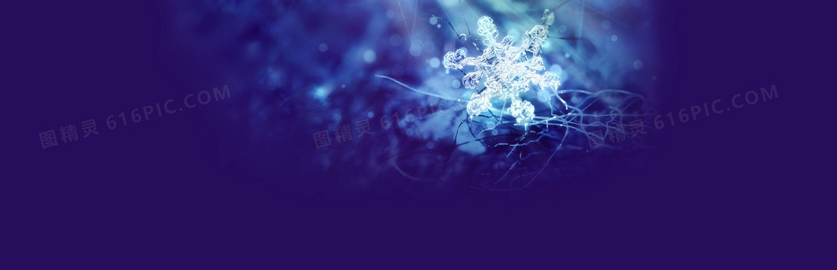 冬季雪花梦幻唯美背景banner