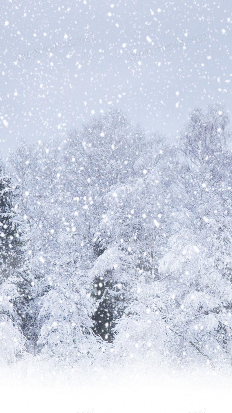 冬天浪漫雪景H5背景