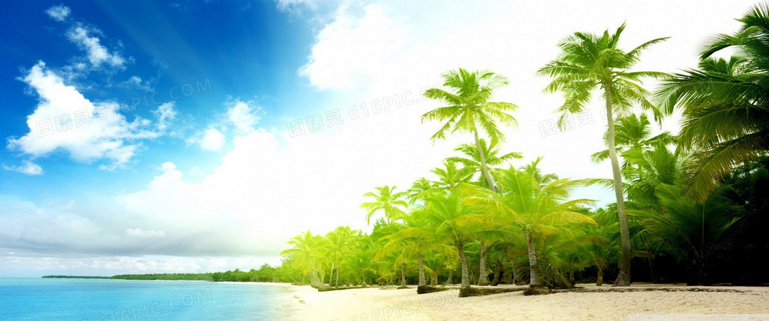 夏天海边椰子树背景