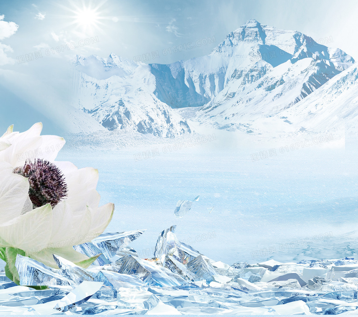 冰山上的雪莲花背景图片下载_2667x2362像素jpg格式_m