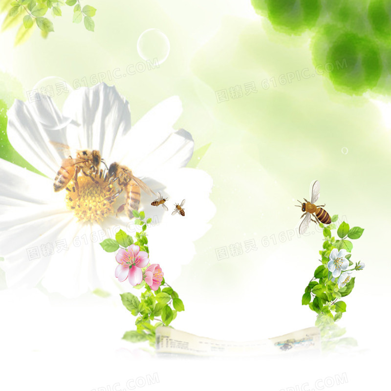 清新花朵蜂蜜背景图