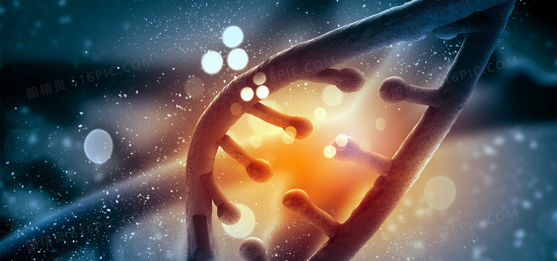 基因转基因结构科技蓝色海报背景