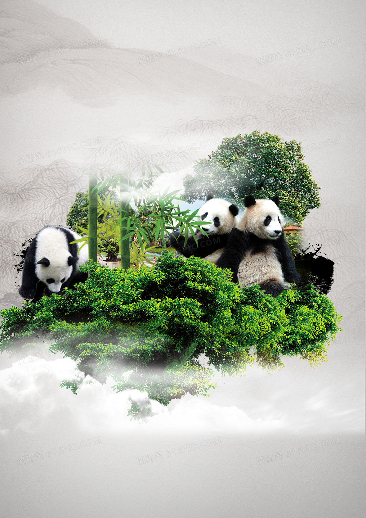 关键词:              熊猫绿色大气