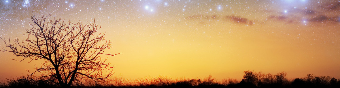 夜晚田野与梦幻星空美景背景图片下载_1920x500像素_v
