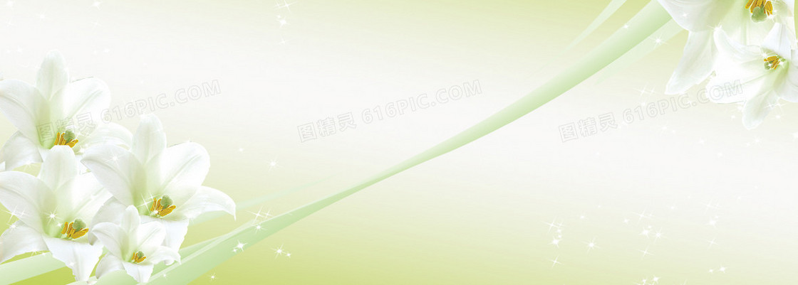 百合花清新背景banner