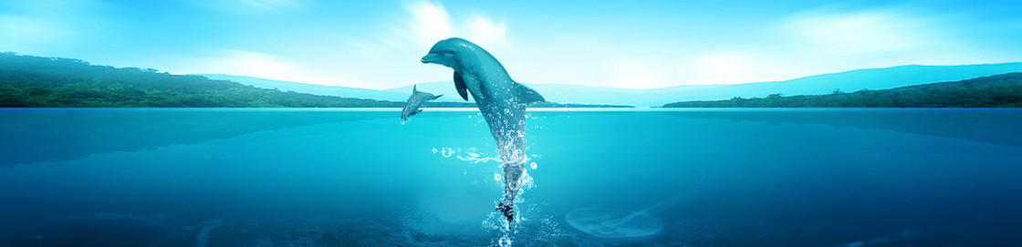 蓝色海洋海豚背景banner