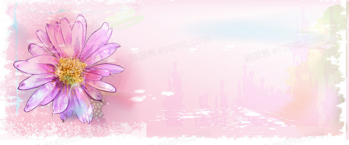粉色水彩菊花背景