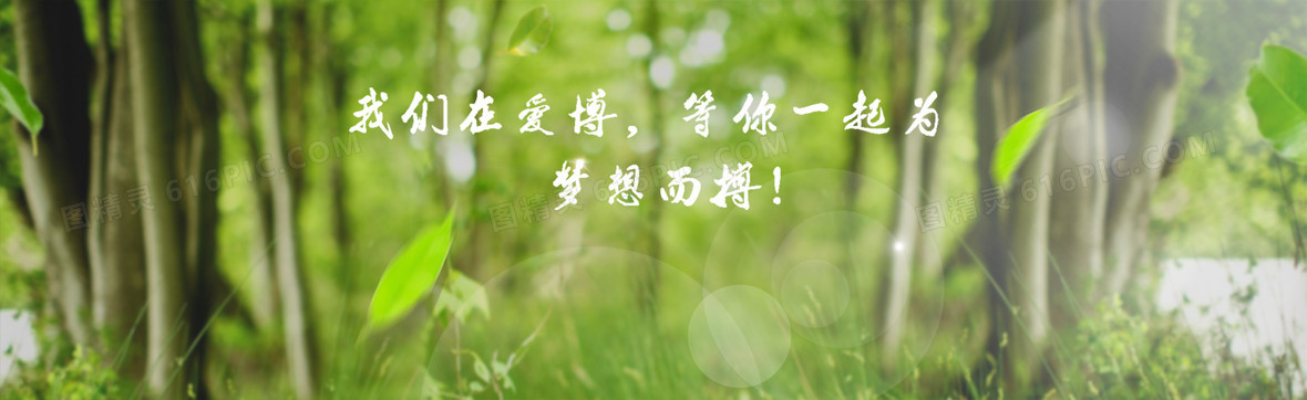 绿色 校园 森林 树林 护眼 自然背景banner