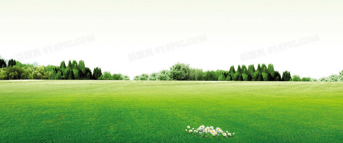 全屏海报背景