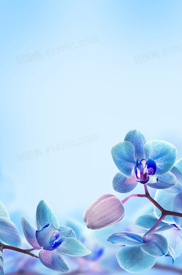 蓝色花朵清新H5背景