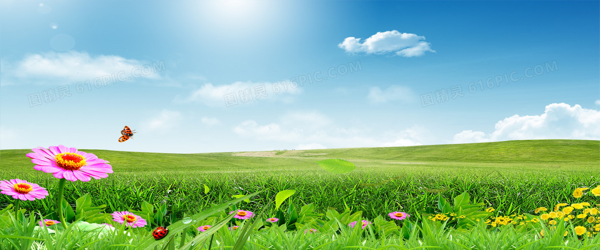 风景美景绿色清新创卫海报banner摄影风景 图精灵为您提供春天