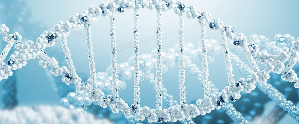 蓝色dna 珍珠亮白背景图片下载 1920x800像素jpg格式 编号vjqf09lr1 图精灵