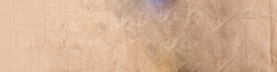 淘宝复古banner