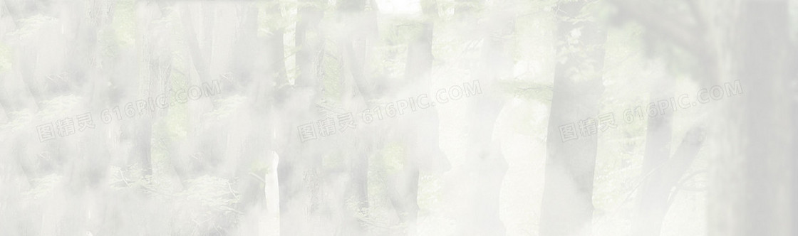 树木 森林 背景banner