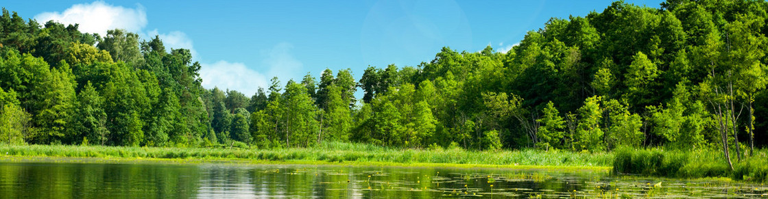 风景背景