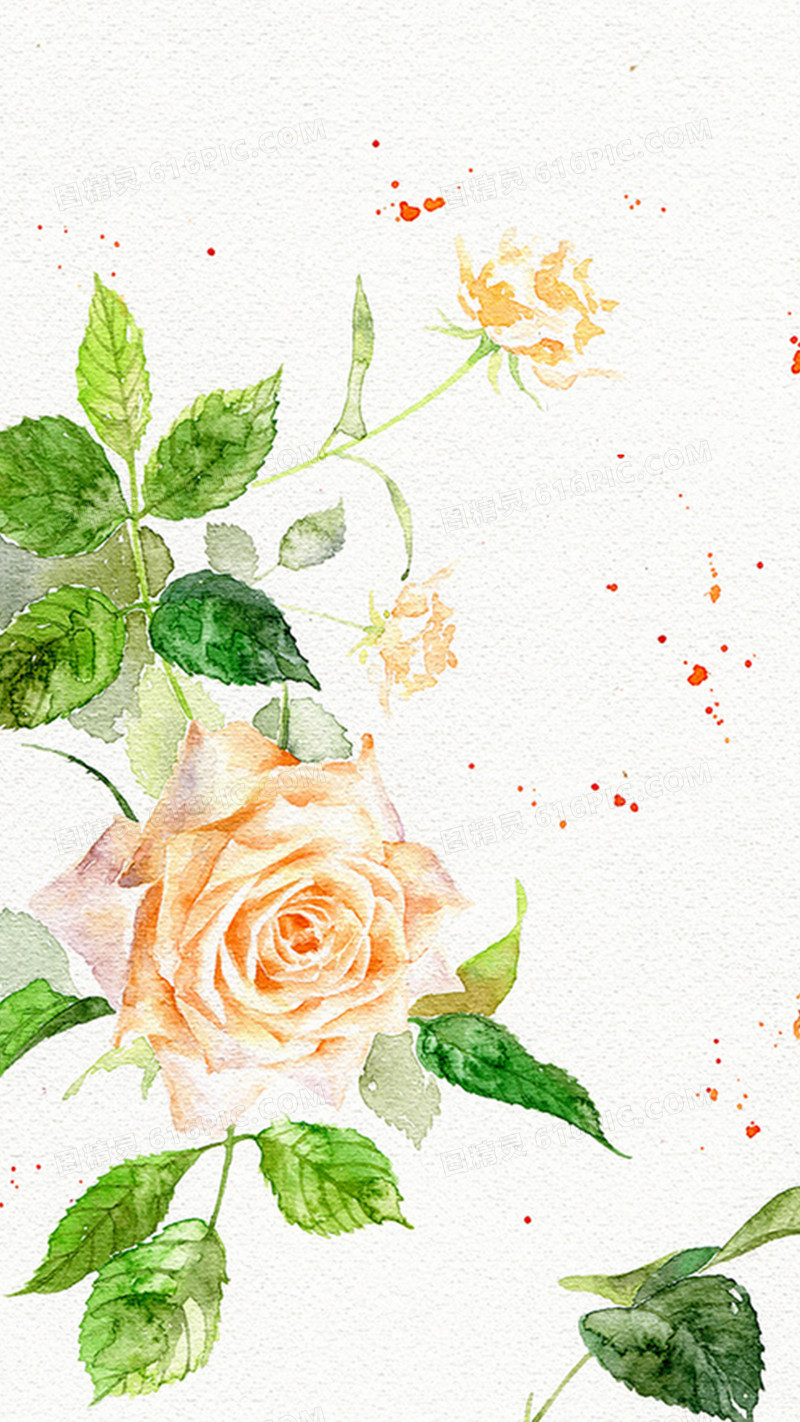 小清新手绘玫瑰H5背景素材