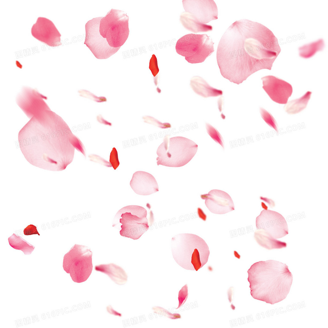 浪漫粉色花瓣飘落背景图