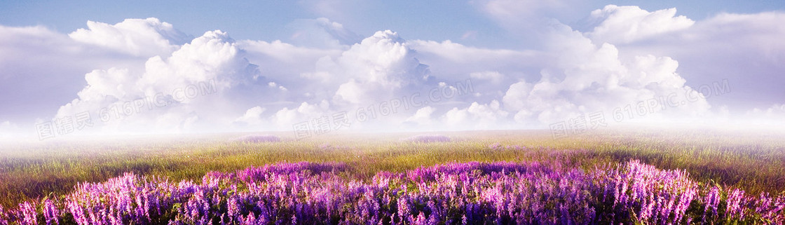 浪漫粉色花海banner
