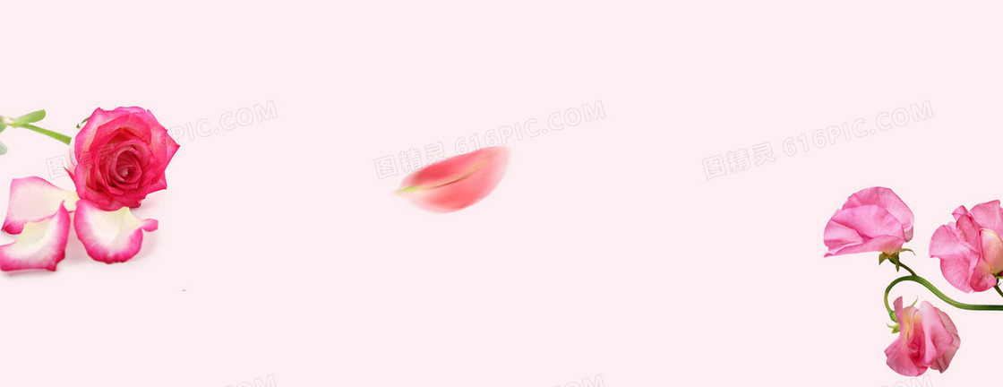 情人节玫瑰花瓣浪漫背景banner