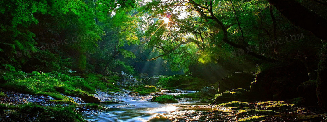 森林流水