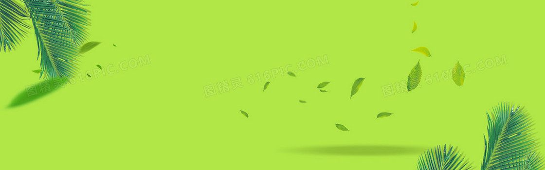 绿色树叶背景