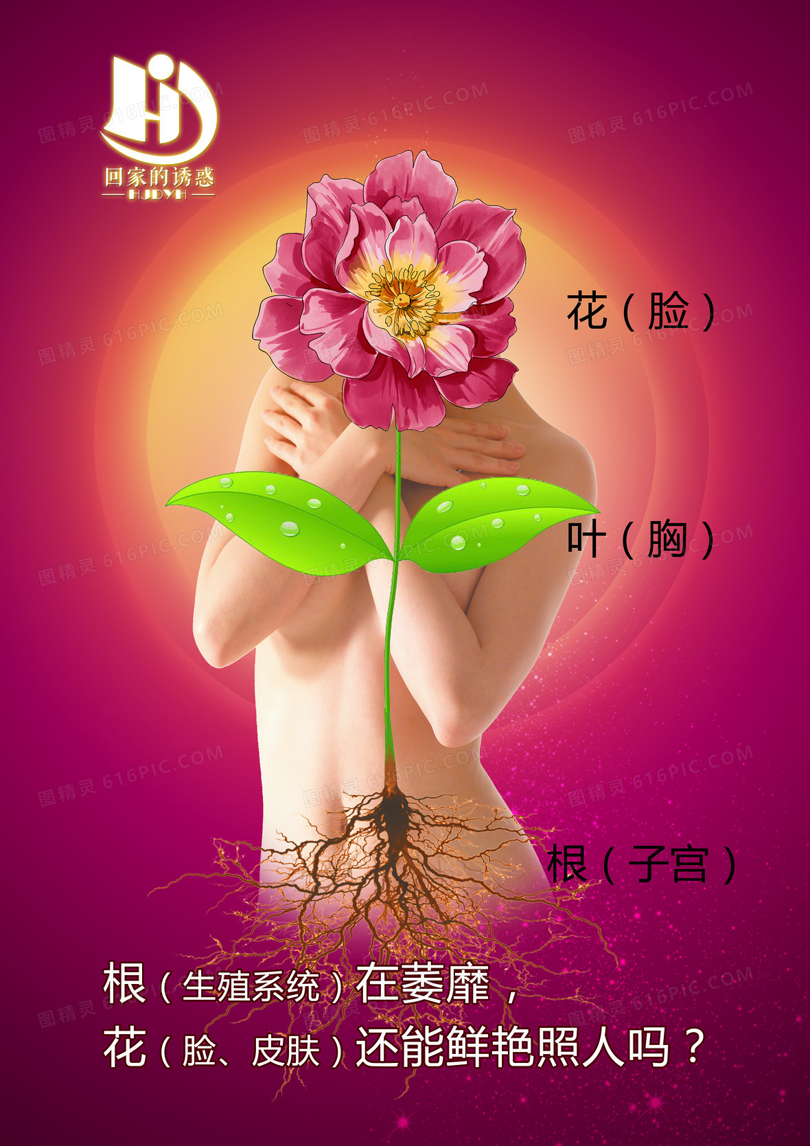 关键词:              花叶私密海报背景