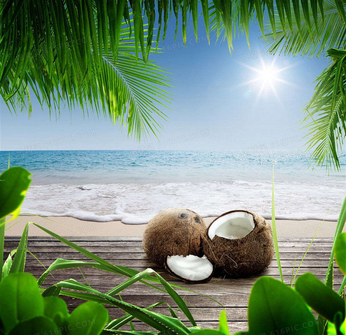 海边沙滩 树 太阳 大海风景平板电脑iPad高清风景壁纸_图片编号331541-壁纸网