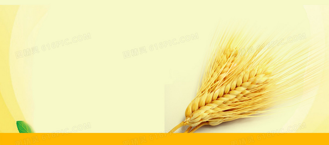 饮食背景图