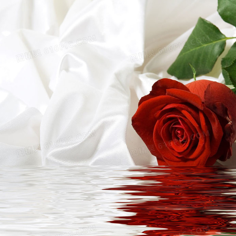 唯美玫瑰水面背景图
