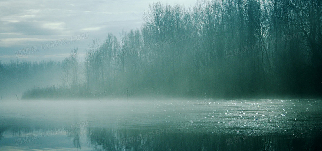 诗意雾气意境树林水墨意境的美景图片