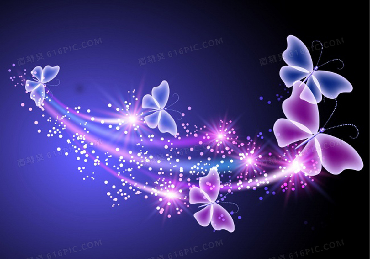 彩色绚丽唯美花朵漂亮蝴蝶梦幻 图精灵为您提供炫彩 蝴蝶 紫色背景