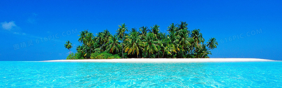 海滩椰子树背景