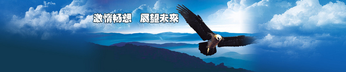 展望未来