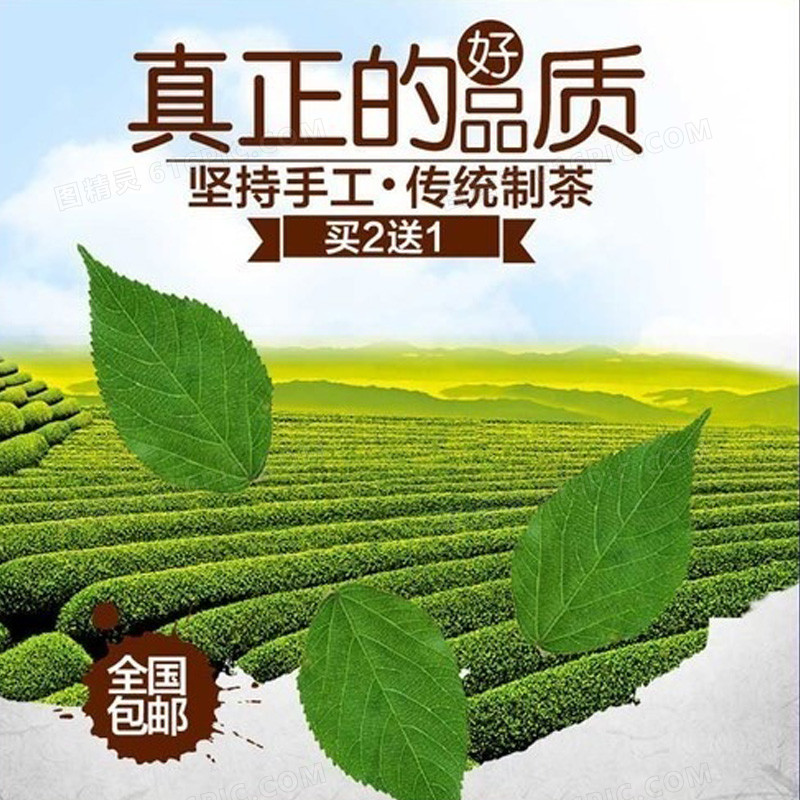 清新茶园茶叶背景图