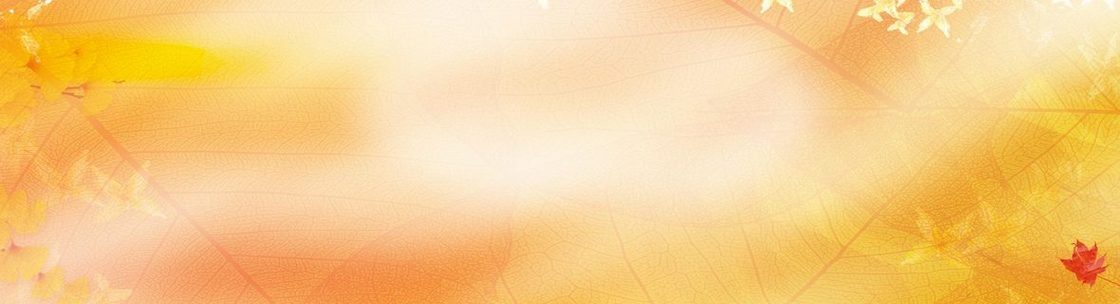 黄色 黄昏 背景 banner