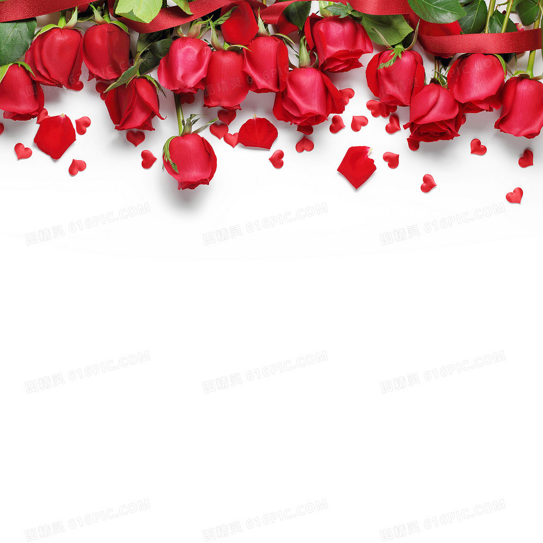 红玫瑰高清图片下载-正版图片500278228-摄图网