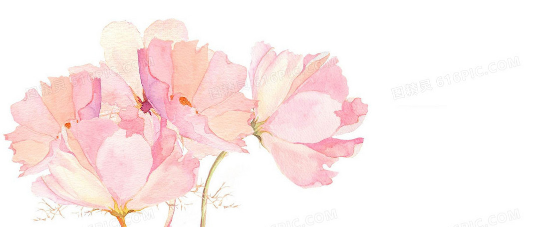 手绘粉色日系清新文艺淡色花朵背景