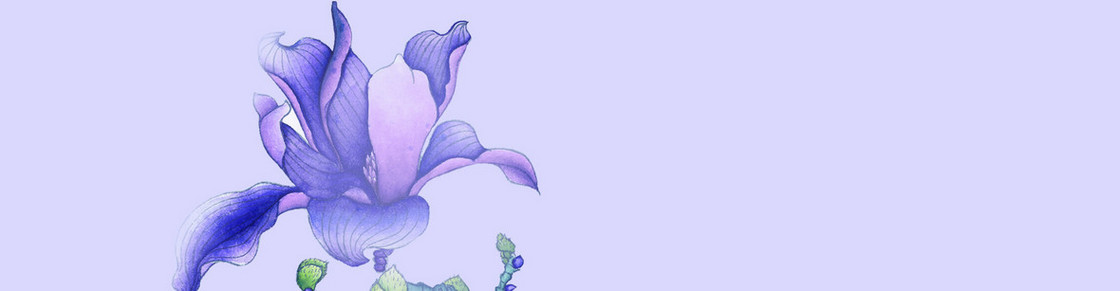 梦幻花朵背景