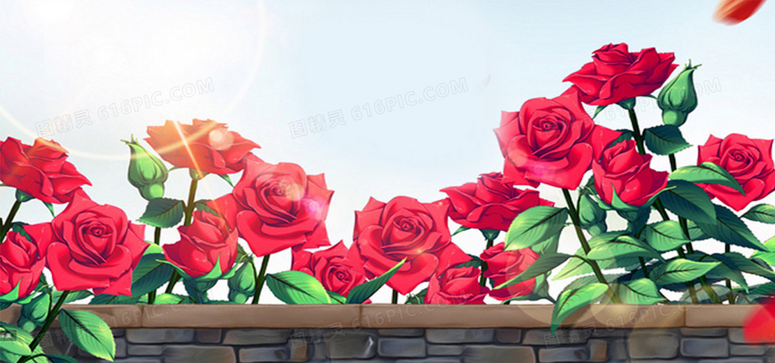 唯美花朵背景